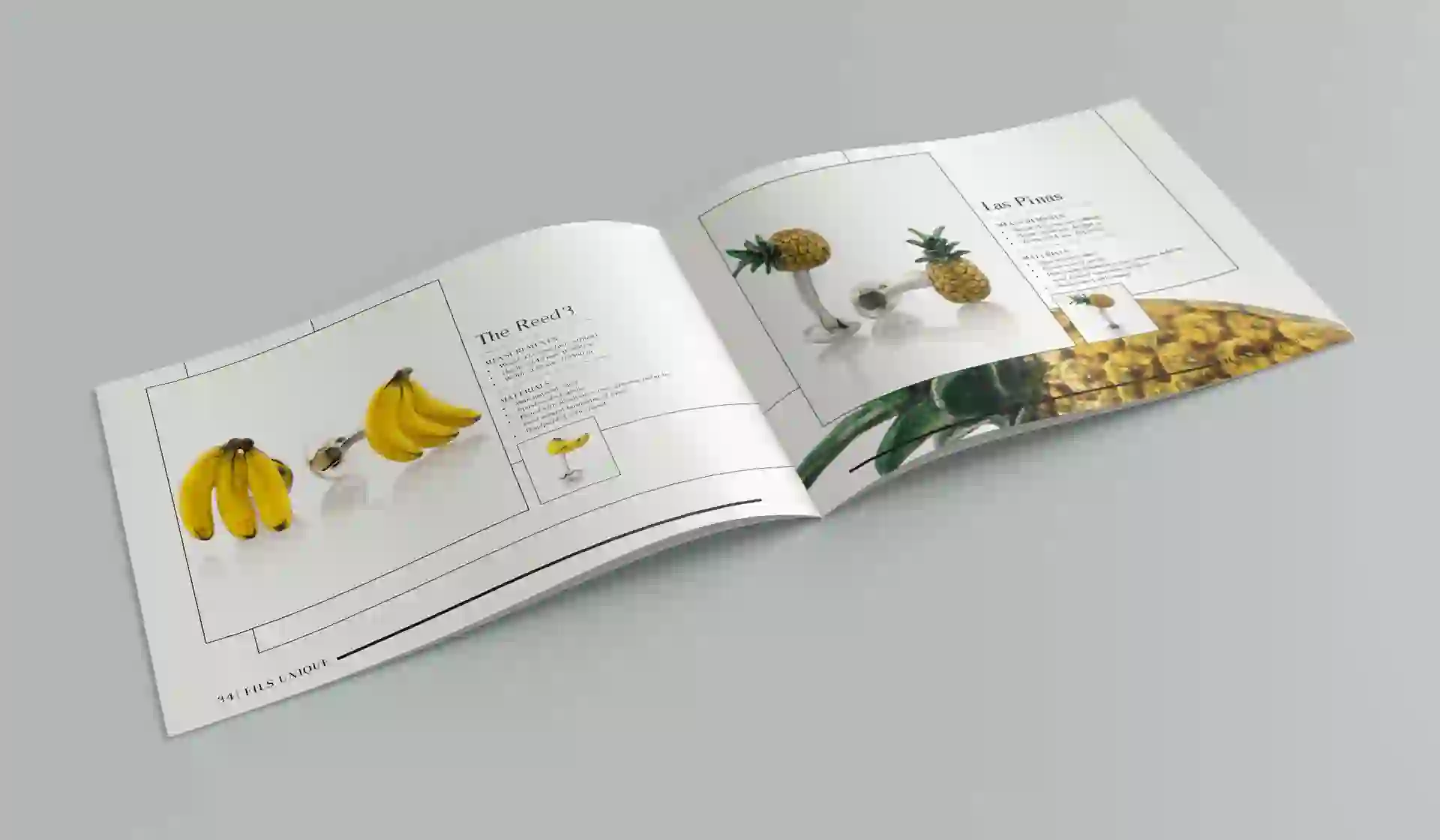 Portfolio Image